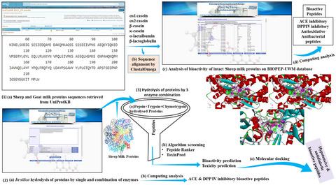 In silico identification of antidiabetic and hypotensive potential bioactive peptides from the sheep milk proteins—a molecular docking study