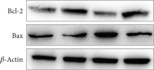 Details are in the caption following the image