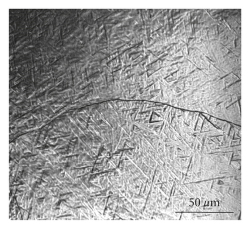 Details are in the caption following the image