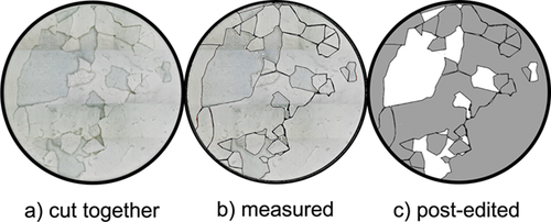 Details are in the caption following the image Details are in the caption following the image