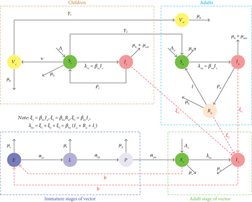 Details are in the caption following the image Details are in the caption following the image