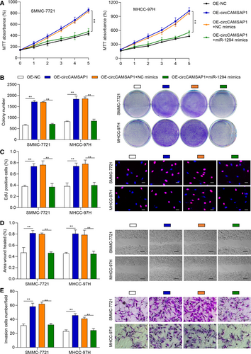 Details are in the caption following the image Details are in the caption following the image