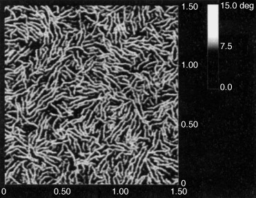 Tuning the Electrical Conductivity and Self-Assembly of Regioregular Polythiophene by Block Copolymerization: Nanowire Morphologies in New Di- and Triblock Copolymers