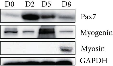 Details are in the caption following the image