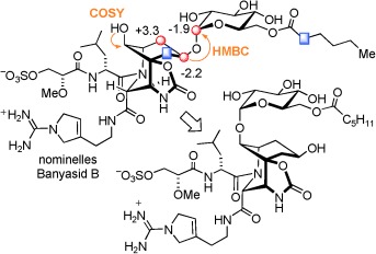 Total Synthesis of Nominal Banyaside B: Structural Revision of the Glycosylation Site
