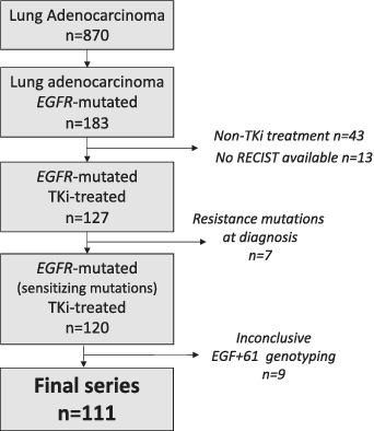 EGF+61 A>G polymorphism does not predict response to first-generation EGFR tyrosine kinase inhibitors in lung cancer patients