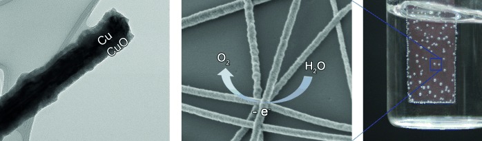 Copper as a Robust and Transparent Electrocatalyst for Water Oxidation