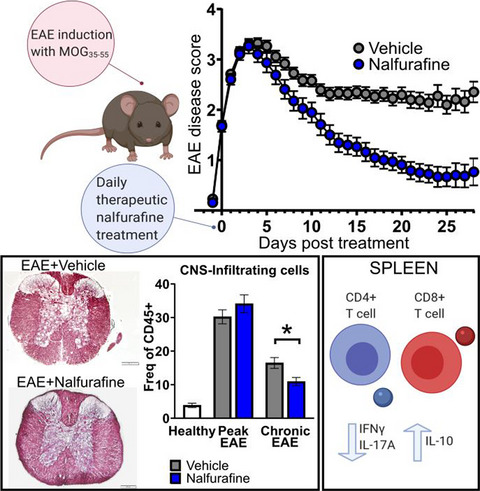 Nalfurafine reduces neuroinflammation and drives remyelination in models of CNS demyelinating disease