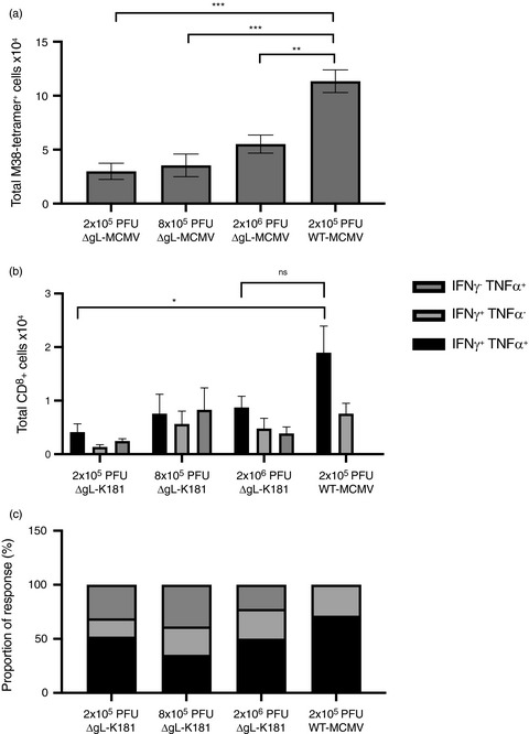 Optimal CD8+ T-cell memory formation following subcutaneous cytomegalovirus infection requires virus replication but not early dendritic cell responses