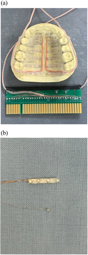 Details are in the caption following the image Details are in the caption following the image