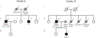 Germline variants of DNA repair and immune genes in lymphoma from lymphoma-cancer families