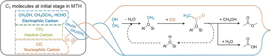 Formation Mechanism of the First Carbon–Carbon Bond and the First Olefin in the Methanol Conversion into Hydrocarbons