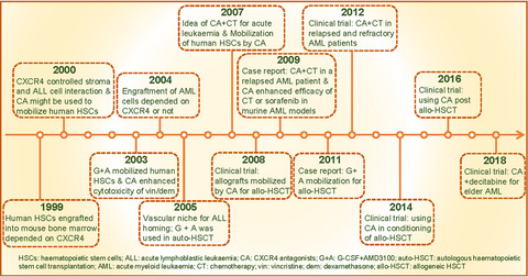 Role of CXCR4 in the progression and therapy of acute leukaemia