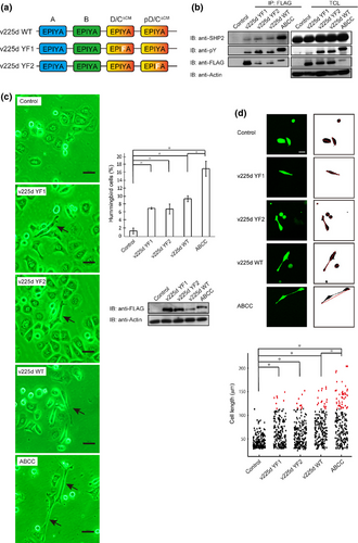 Details are in the caption following the image Details are in the caption following the image