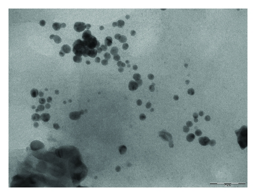 Details are in the caption following the image