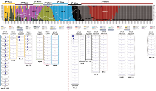 Details are in the caption following the image Details are in the caption following the image