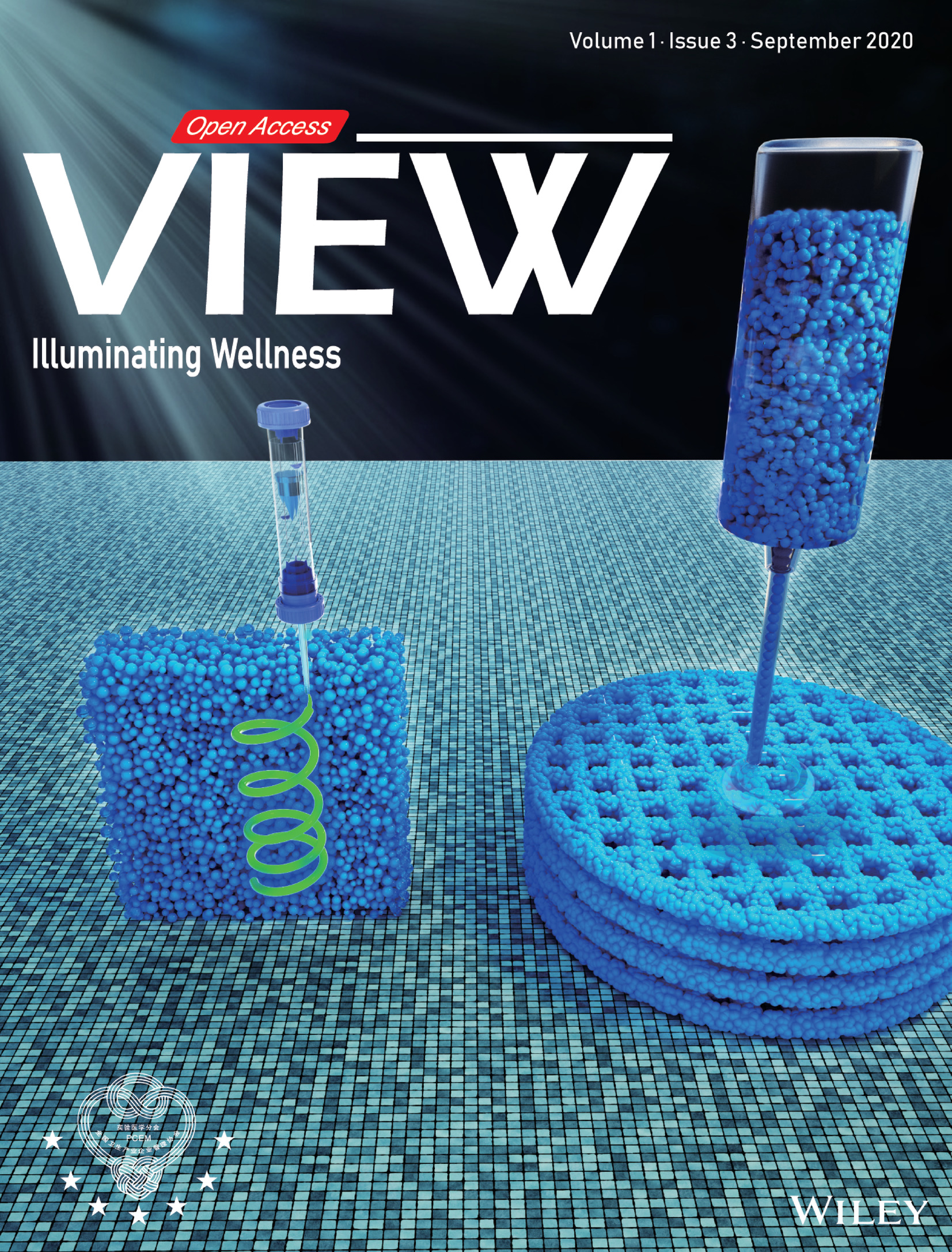 Inside Back Cover: Granular hydrogels for 3D bioprinting applications (View 3/2020) Volume 1 Issue 3, 2020