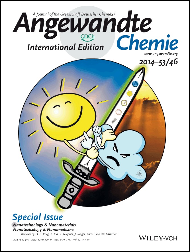 Cover Picture: Are We Entering the Nano Era? (Angew. Chem. Int. Ed. 46/2014)