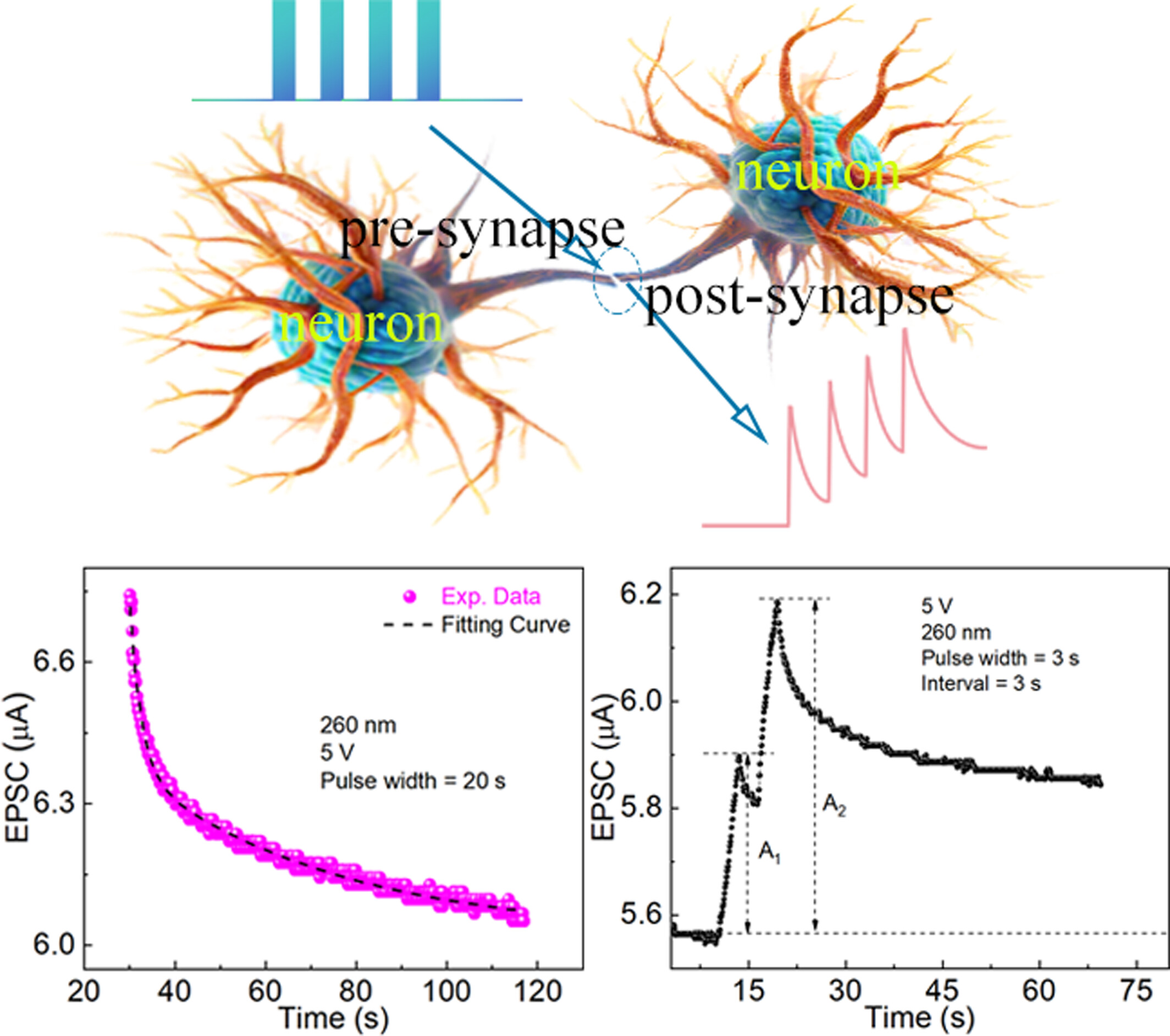 Heteroepitaxy of ε-Ga2O3 thin film for artificial synaptic device