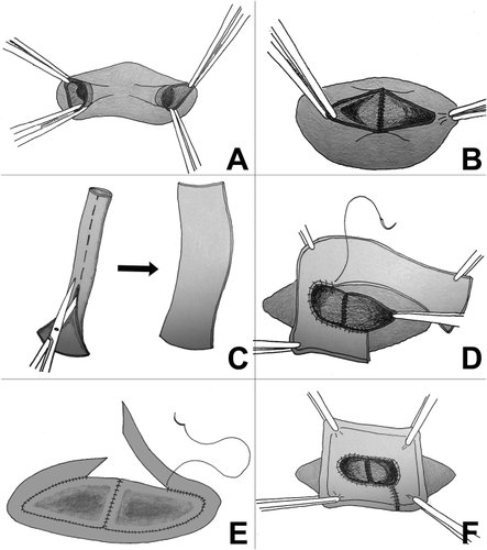 Details are in the caption following the image Details are in the caption following the image