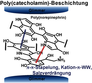 Nanomechanics of Poly(catecholamine) Coatings in Aqueous Solutions