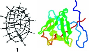 Molecular Recognition of Basic Fibroblast Growth Factor by Polyoxometalates
