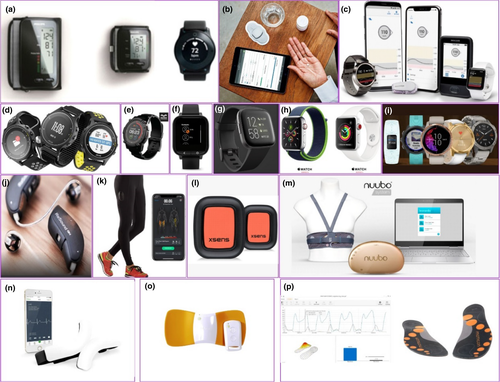 Details are in the caption following the image Details are in the caption following the image