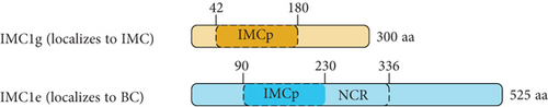 Details are in the caption following the image