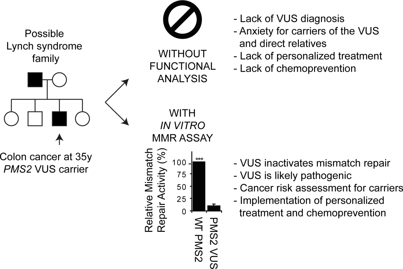 Inactivation of DNA Mismatch Repair by Variants of Uncertain Significance in the PMS2 Gene