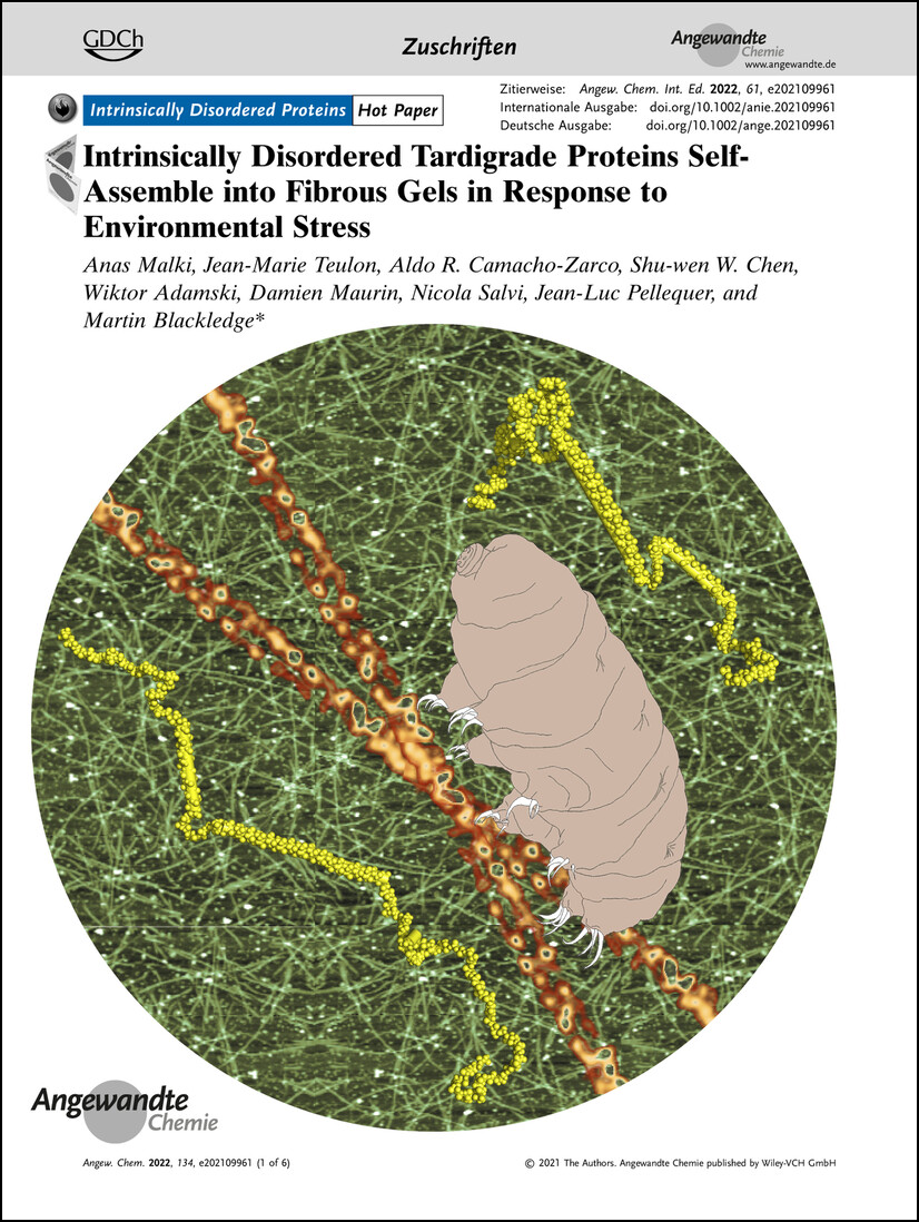 Frontispiz: Intrinsically Disordered Tardigrade Proteins Self-Assemble into Fibrous Gels in Response to Environmental Stress Volume 134 Issue 1, 2022