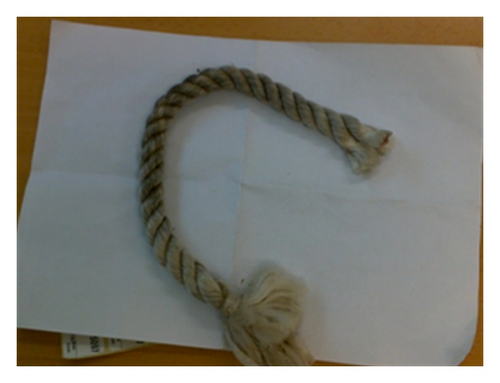 Details are in the caption following the image