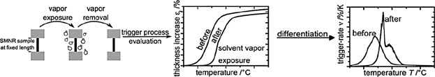 Altering the Trigger-Behavior of Programmed Shape Memory Natural Rubber (SMNR) by Solvent Vapor