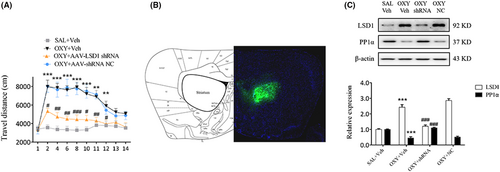 Details are in the caption following the image Details are in the caption following the image