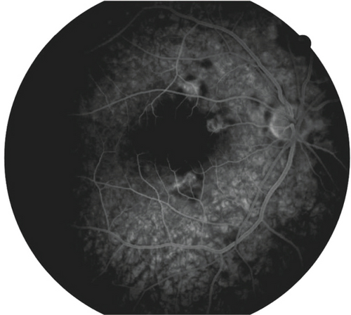 Details are in the caption following the image Details are in the caption following the image
