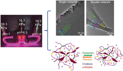 Hydrogel Electrolyte with High Tolerance to a Wide Spectrum of pHs and Compressive Energy Storage Devices Based on It