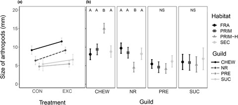Trophic cascades in tropical rainforests: Effects of vertebrate predator exclusion on arthropods and plants in Papua New Guinea