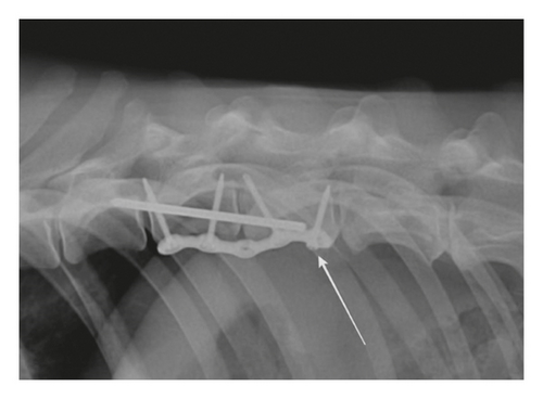 Details are in the caption following the image