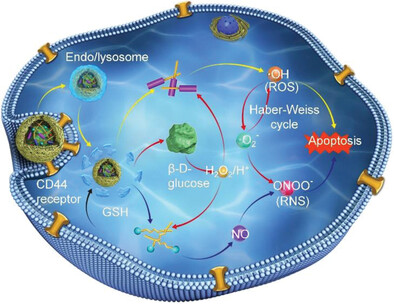 Inflammatory Cell-Inspired Cascade Nanozyme Induces Intracellular Radical Storm for Enhanced Anticancer Therapy