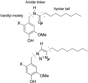 The 1,2,3-Triazole Ring as a Peptido- and Olefinomimetic Element: Discovery of Click Vanilloids and Cannabinoids