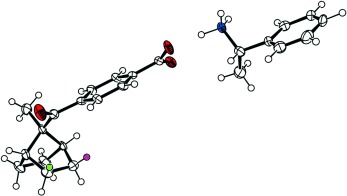 Preorganization of Achiral Molecules for Asymmetric Synthesis through Crystallization-Induced Immobilization in Homochiral Conformations