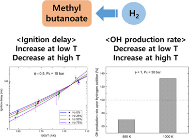 Hydrogen effects on ignition delay time of methyl butanoate in a rapid compression machine