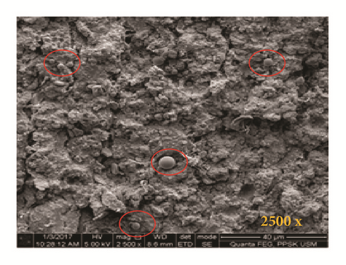 Details are in the caption following the image