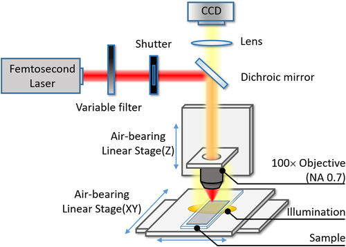 Details are in the caption following the image
