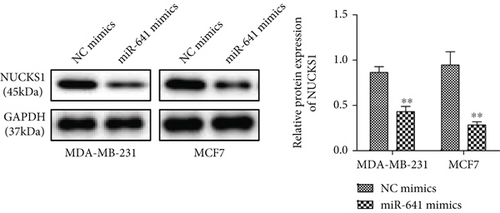 Details are in the caption following the image