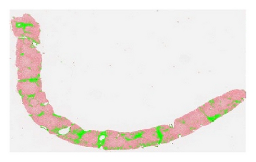 Details are in the caption following the image