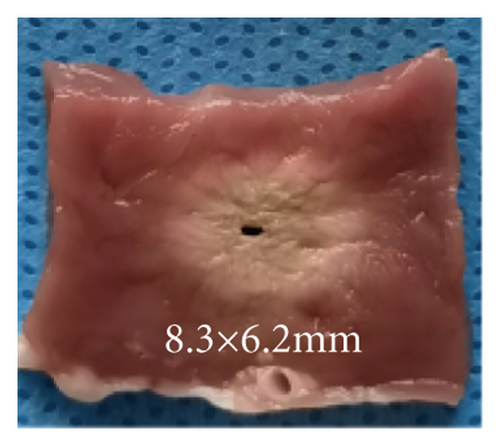 Details are in the caption following the image Details are in the caption following the image