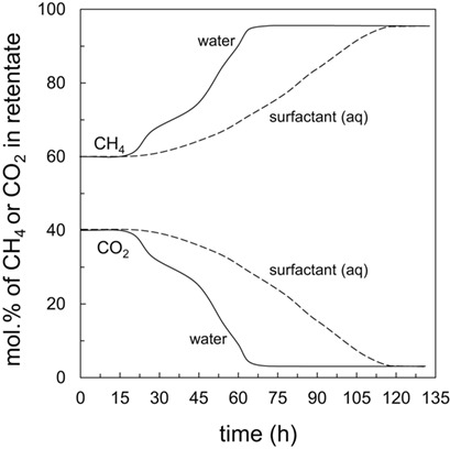 Biomethane Production from Biogas by Separation Using Thin-Film Composite Membranes