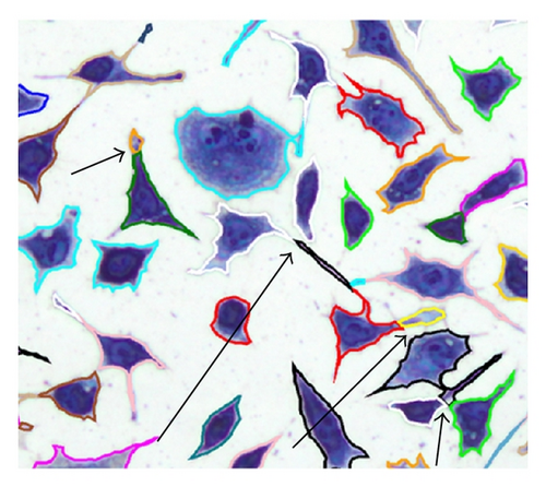 Details are in the caption following the image