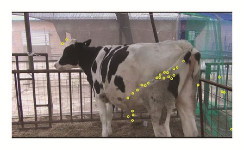 Details are in the caption following the image Details are in the caption following the image