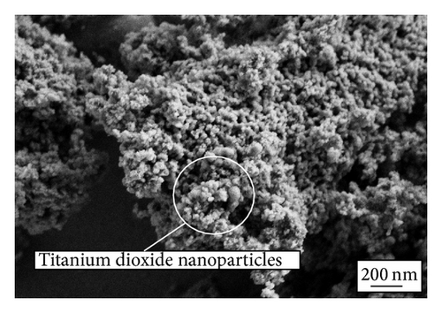 Details are in the caption following the image